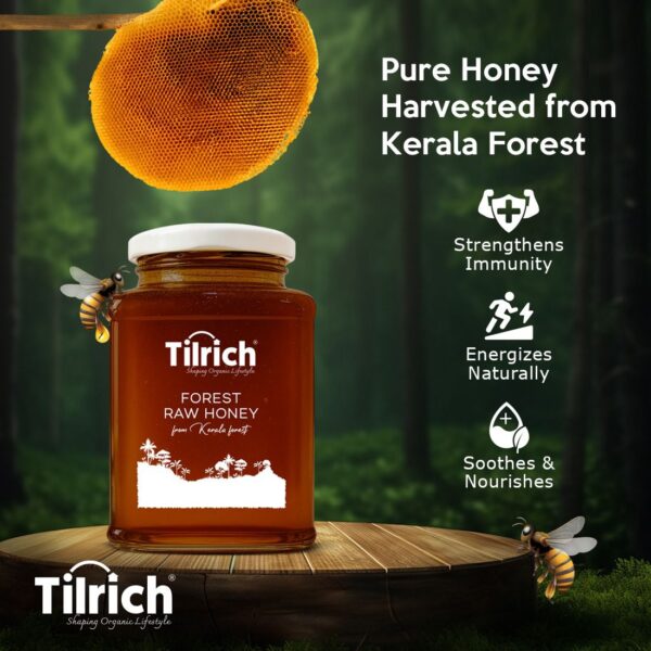 Tilrich Forest Honey - Image 2